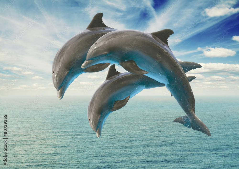Obraz premium three jumping dolphins