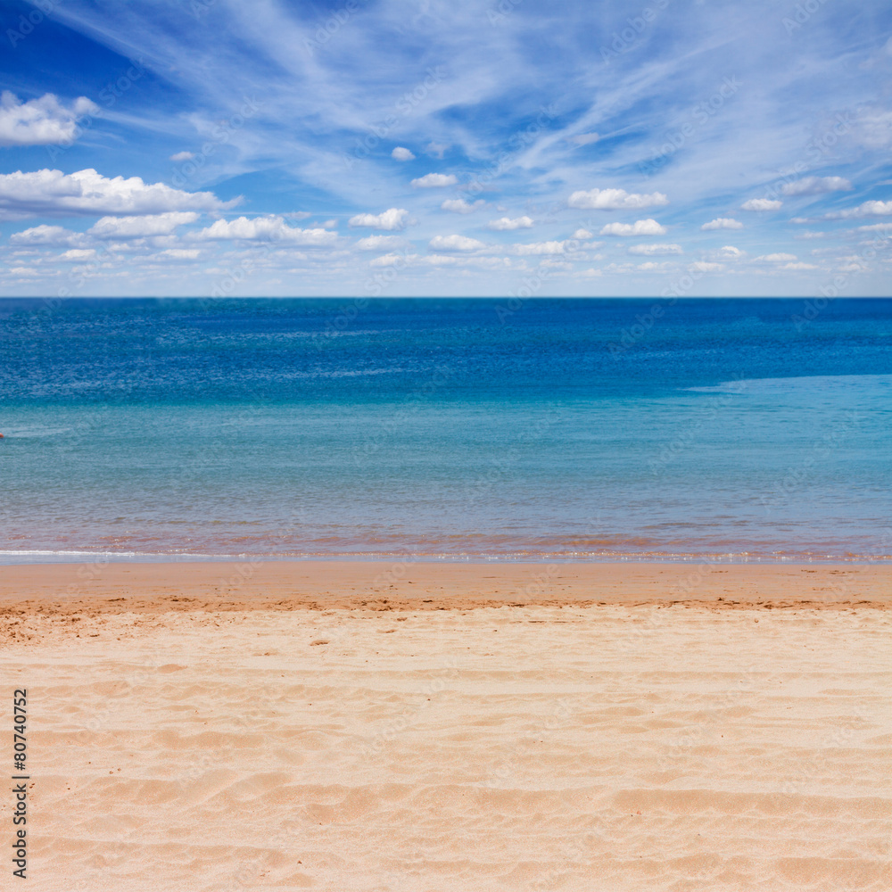 Fototapeta premium sea shore with blue sky