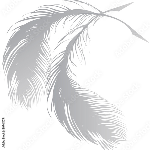 piume