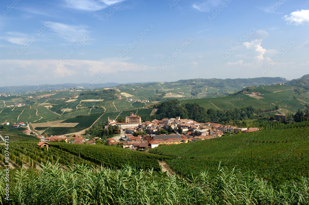 Fototapeta premium Barolo