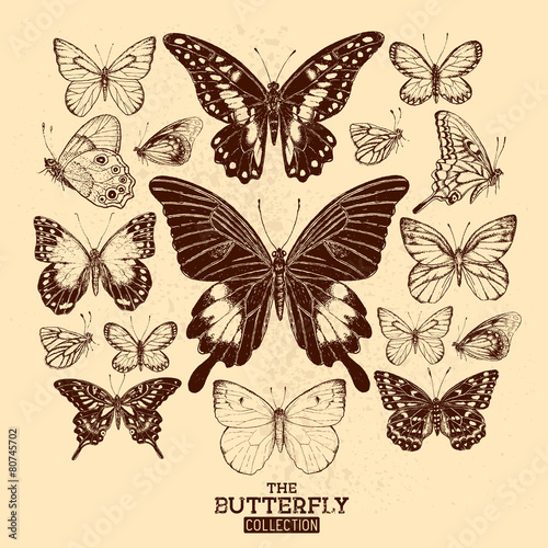 The Butterfly Collection