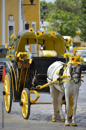 Carriage pulled by horse