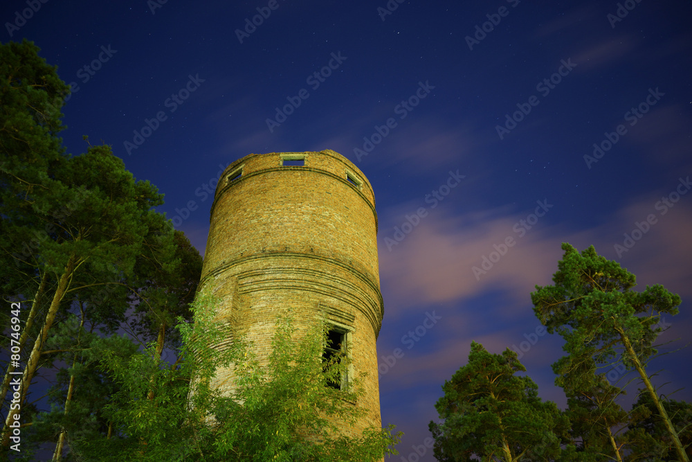 Old brick water tower surrounded with pines