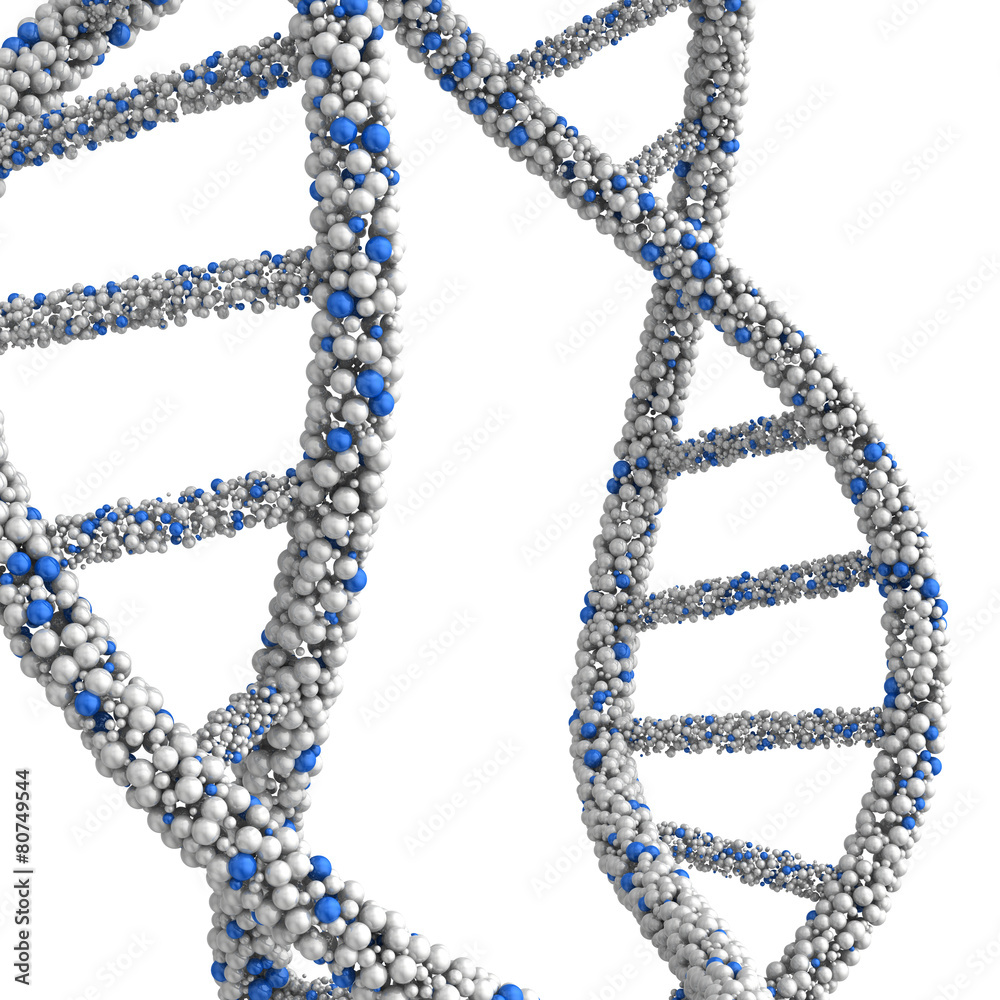 The combined structure DNA molecules in the form of beads The combined structure DNA molecules in the form of beads