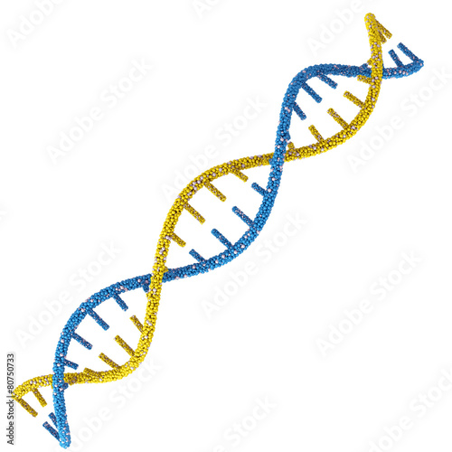 Fototapeta Naklejka Na Ścianę i Meble -  DNA molecules