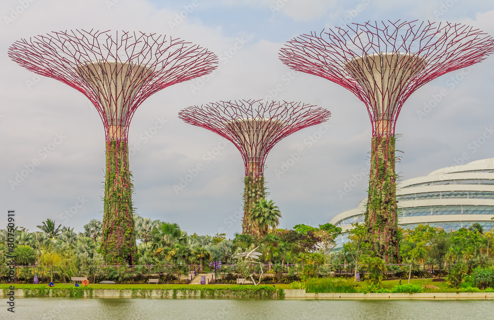 Naklejka premium Singapore Supertrees