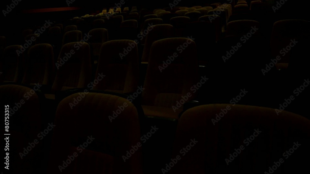 The end of the session in the theater. Empty cinema hall. The end of the session in the theater. Empty cinema hall.