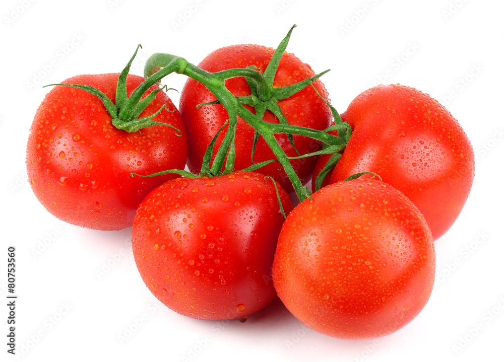 Bunch of fresh tomatoes with water drops