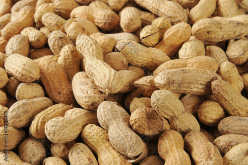 Peanut background photo