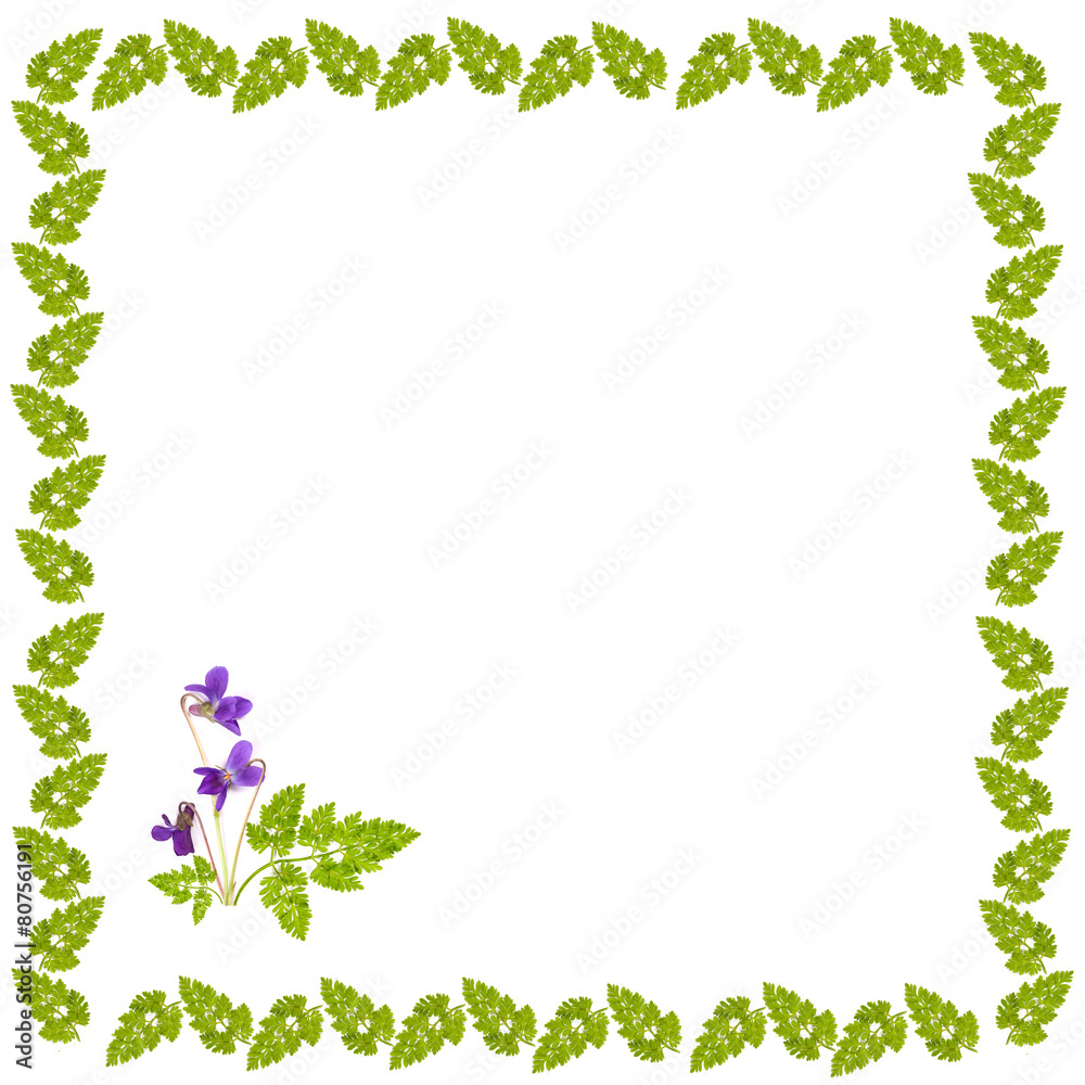 decorative frame of grass with a bouquet of violets decorative frame of grass with a bouquet of violets
