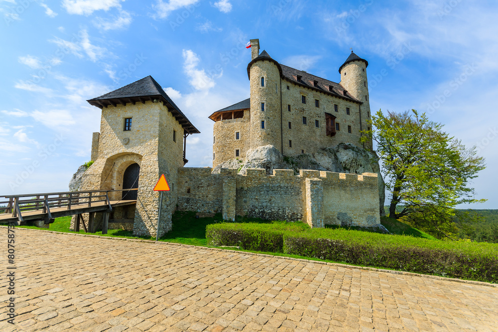 Beautiful Bobolice castle in spring time, Poland
