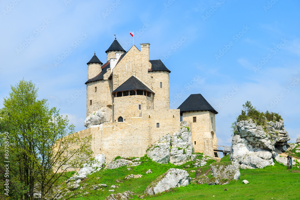 Beautiful Bobolice castle in spring time, Poland