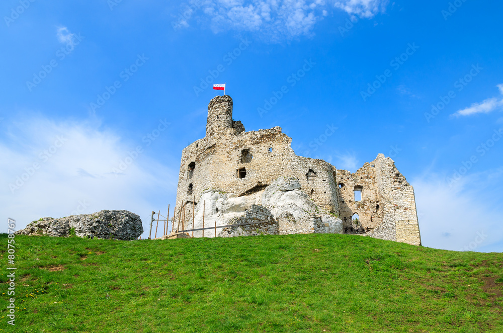 Ruins of medieval Mirow castle in spring time, Poland