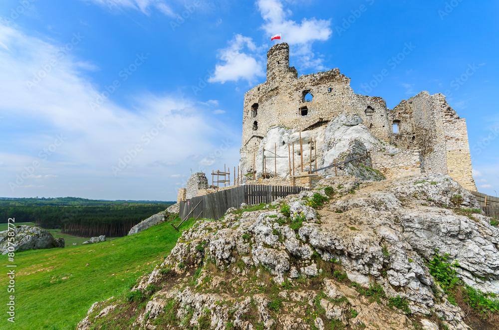 Ruins of medieval Mirow castle in spring time, Poland