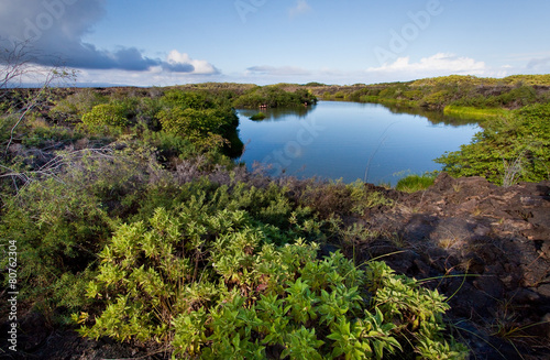 Beautiful colorful landscape of Flamingo Lake in Isabela Island