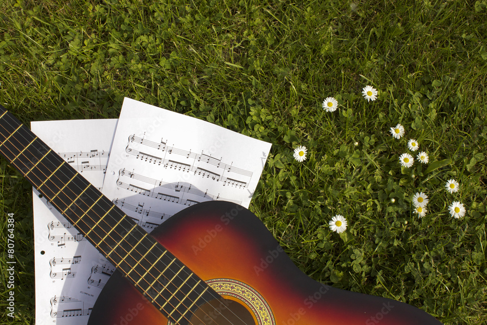 Fototapeta premium Gitarre im Gras