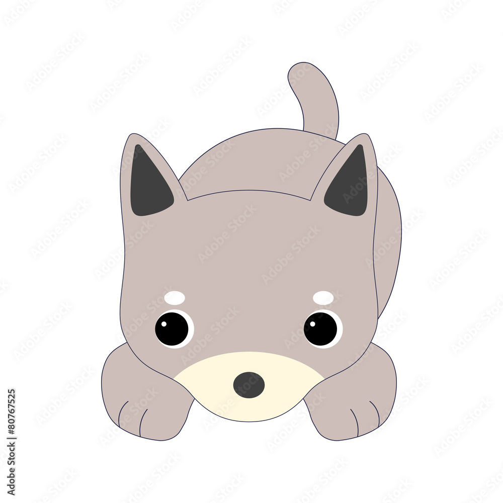 Fototapeta premium 仔犬
