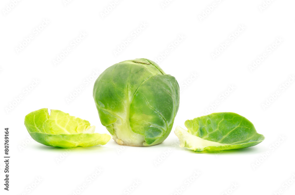 Fresh brussel sprout on white background Fresh brussel sprout on white background