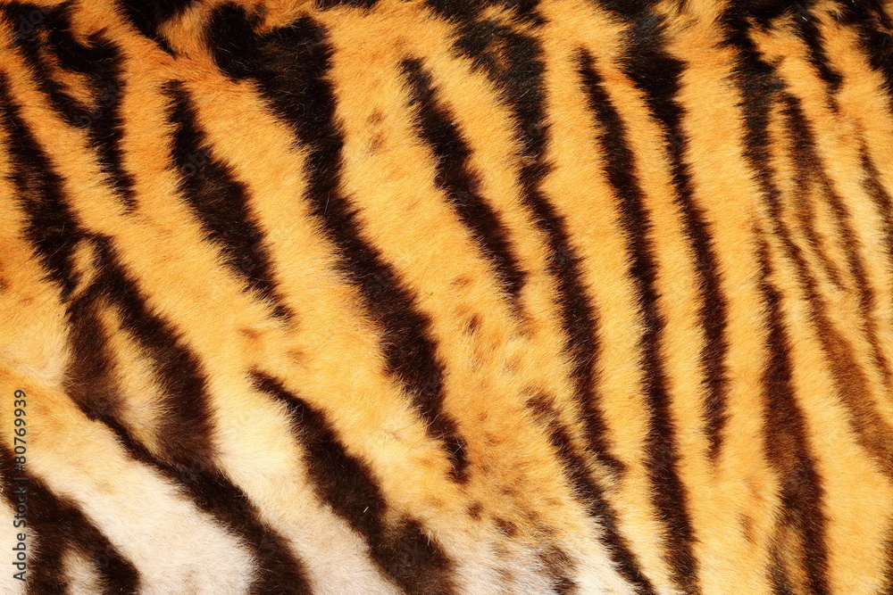 beautiful tiger textured fur beautiful tiger textured fur