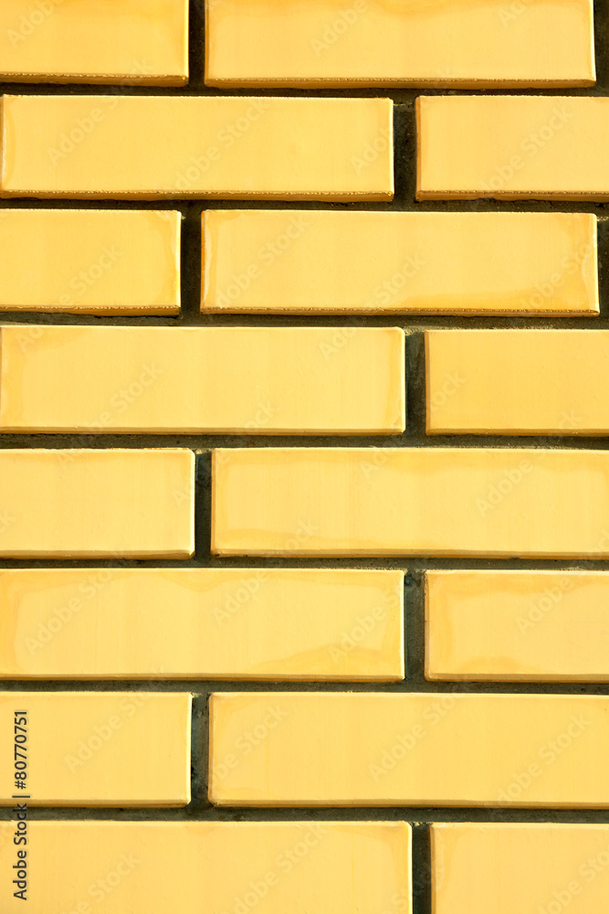 Obraz premium the background from a new brick wall