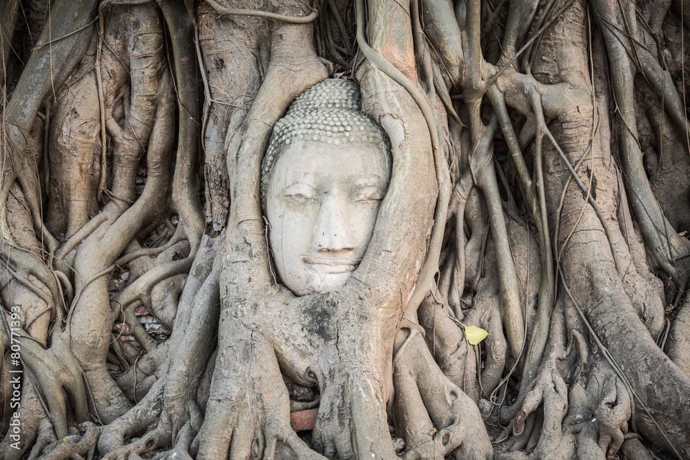 Buddha head in Wat Mahatat