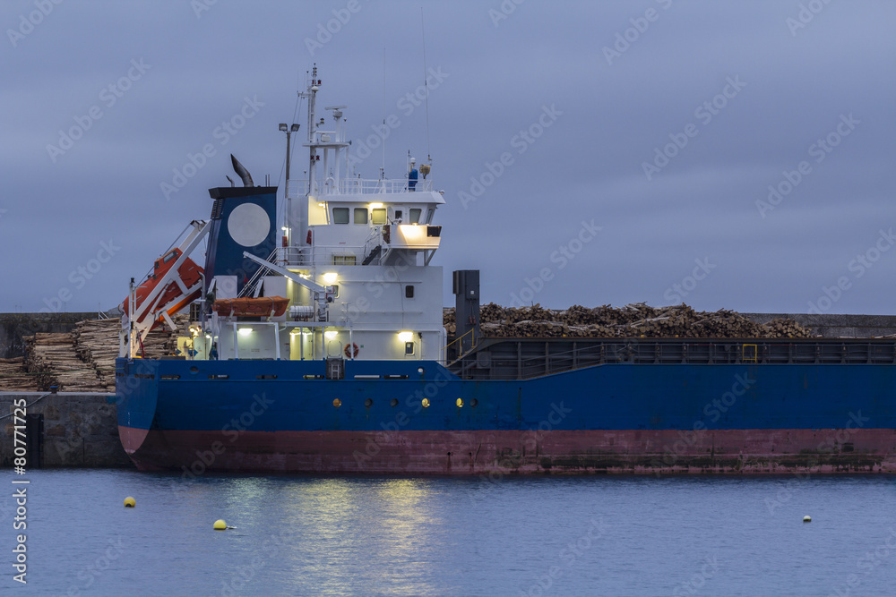 Fototapeta premium Barco atracado