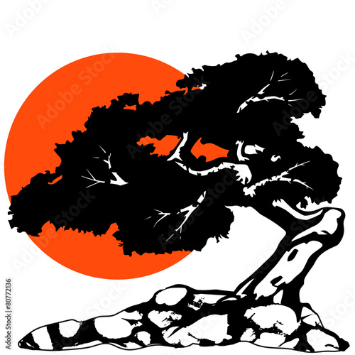 Bonsai Silhouette komplex mit Sonne auf Felsen
