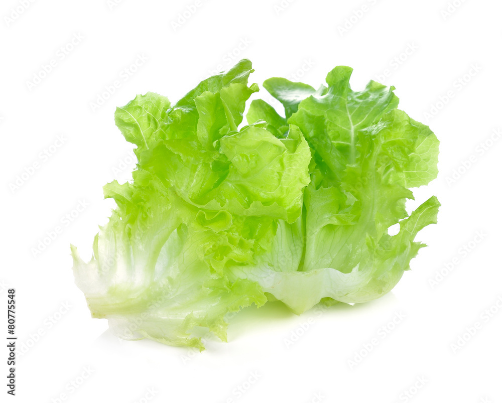 fresh green lettuce leaves isolated on white fresh green lettuce leaves isolated on white