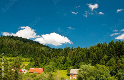 Landscape of  forest with bright blue sky