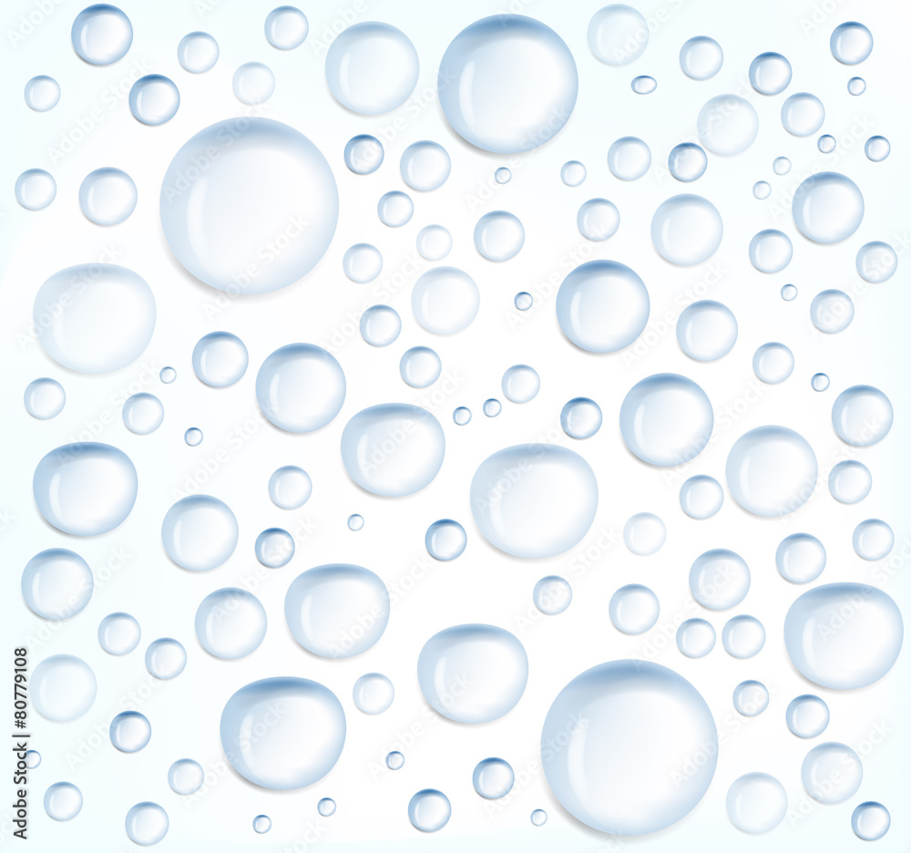 Water drops. Realistic vector illustration.