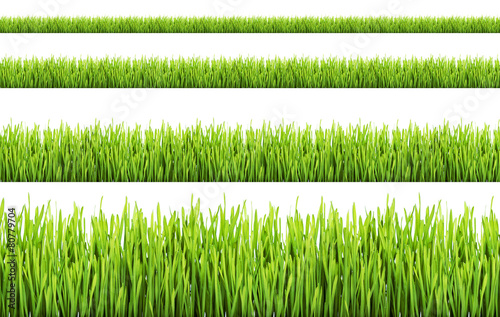 Grass