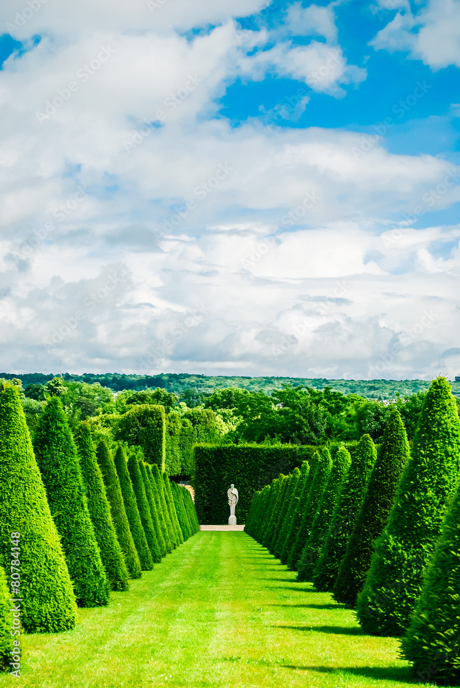 Naklejka premium conical hedges lines and lawn, Versailles Chateau, France