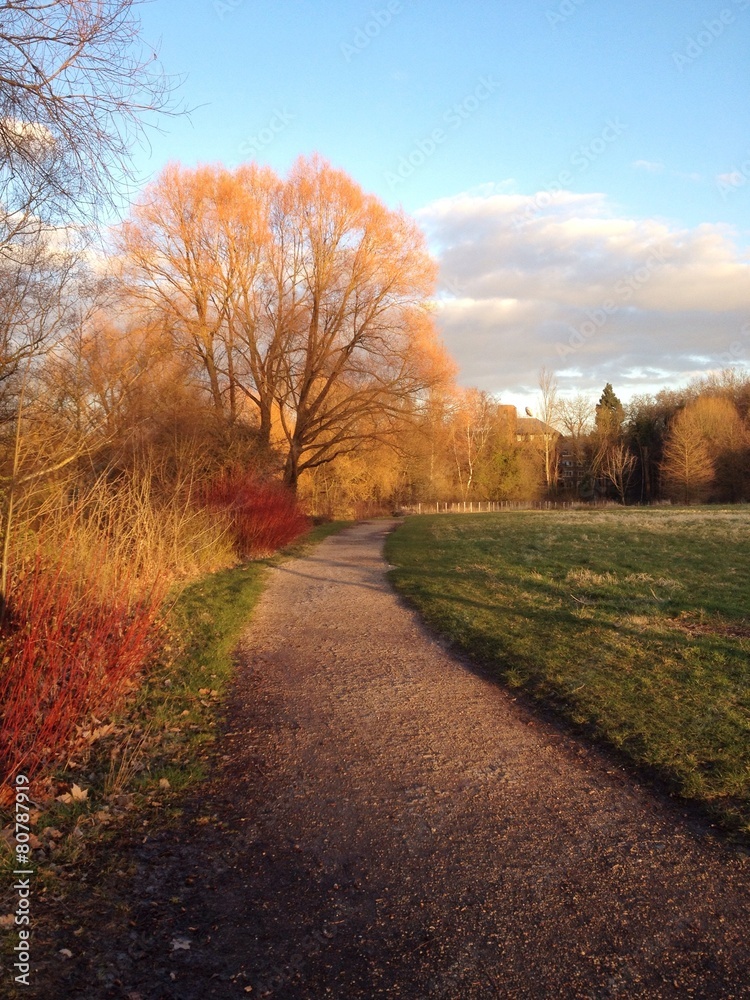 Fototapeta premium Weg Herbstsonne
