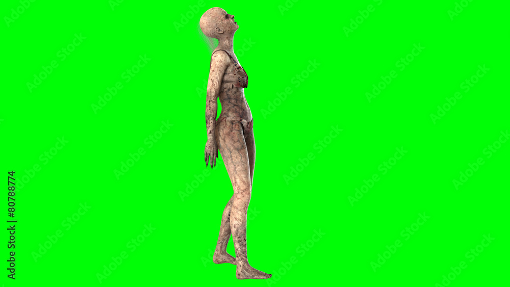 Walking dead zombie woman isolated on green screen