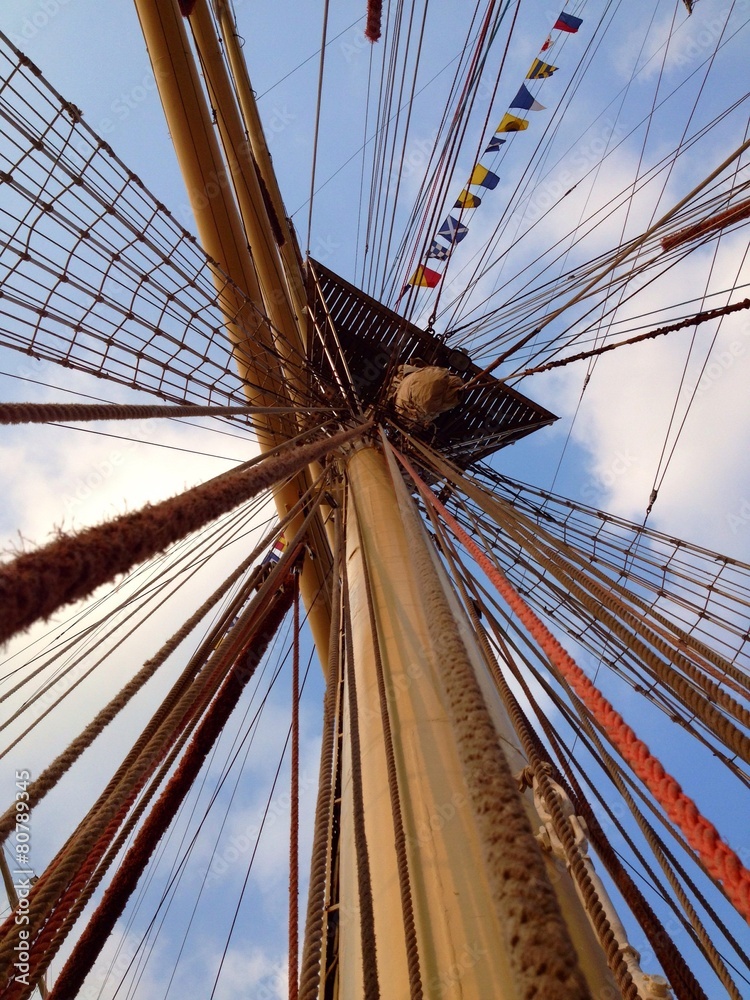 Obraz premium mast