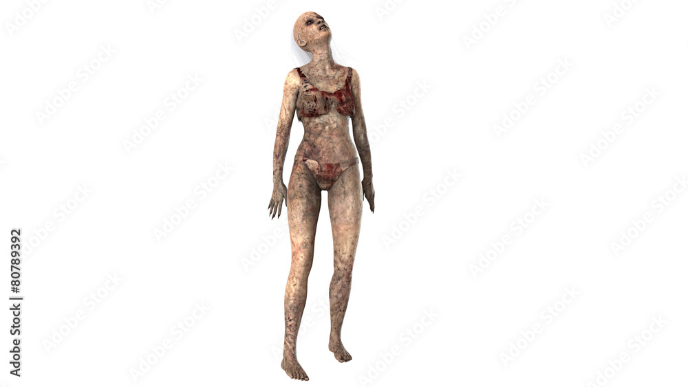 Walking dead zombie woman isolated on white background Walking dead zombie woman isolated on white background