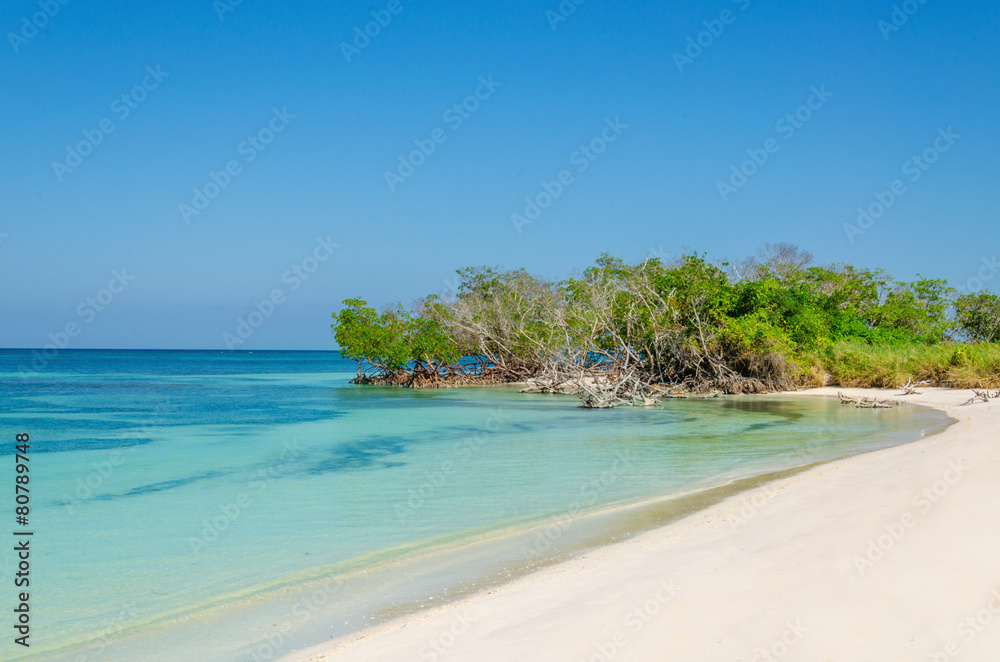 Exotic beach with gold sand and blue sky, Caribbean Islands