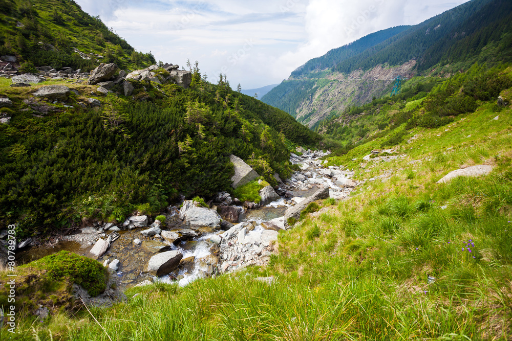Forest stream surrounded by vegetation running over rocks Forest stream surrounded by vegetation running over rocks