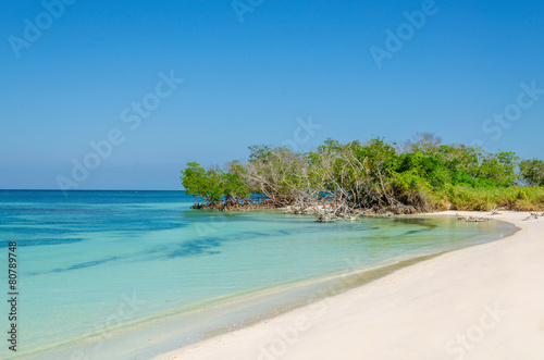 Fototapeta Naklejka Na Ścianę i Meble -  Exotic beach with gold sand and blue sky, Caribbean Islands