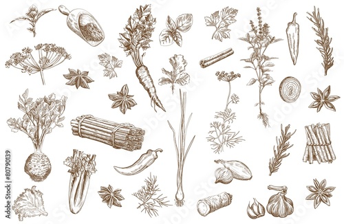 Herb and spices set