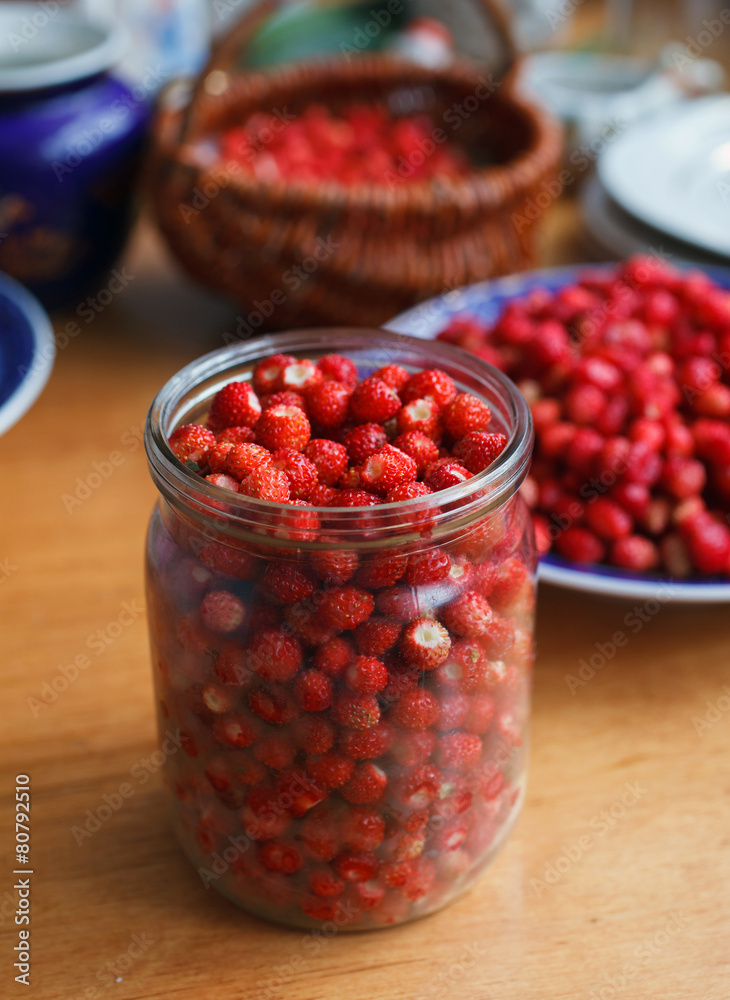 wild strawberries wild strawberries
