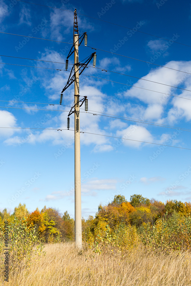 Obraz premium Power line