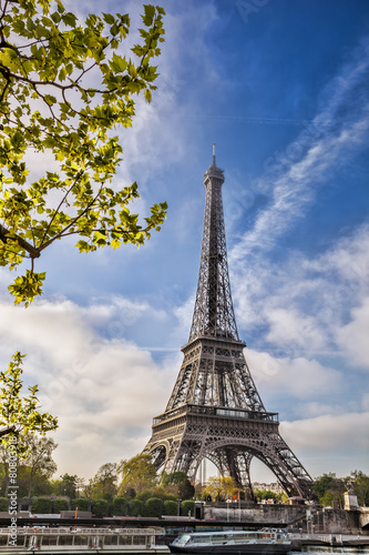 Fototapeta Naklejka Na Ścianę i Meble -  Eiffel Tower with spring tree in Paris, France
