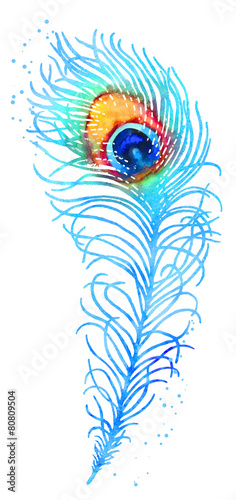 Vector watercolor peacock feather