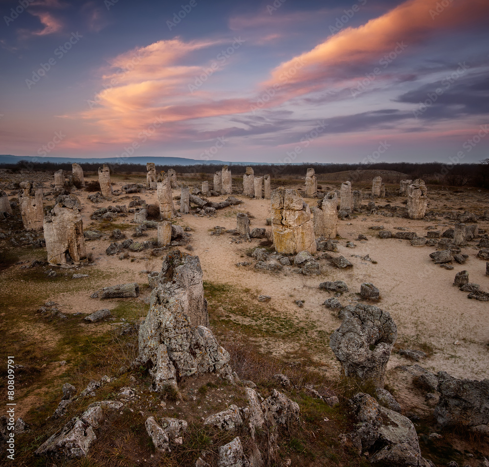 Stone Forest - rock formations in Bulgaria near Varna