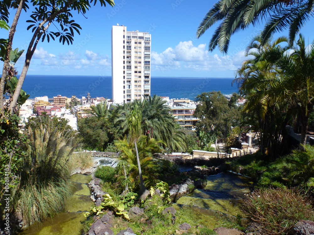 Fototapeta premium Park in Puerto de la cruz