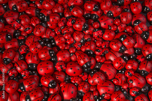 Божьи коровки