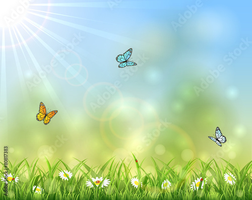 Sunny background with butterflies