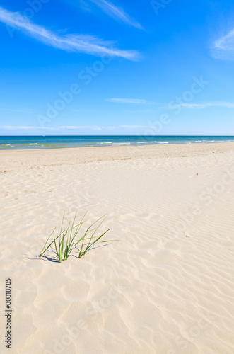 Beautiful sandy beach near Leba, Baltic Sea, Poland #80818785