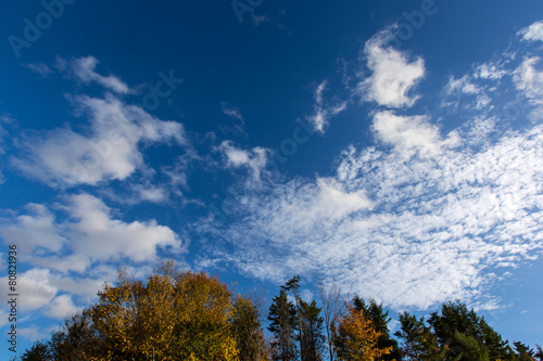Colourful autumn trees against deep blue sky